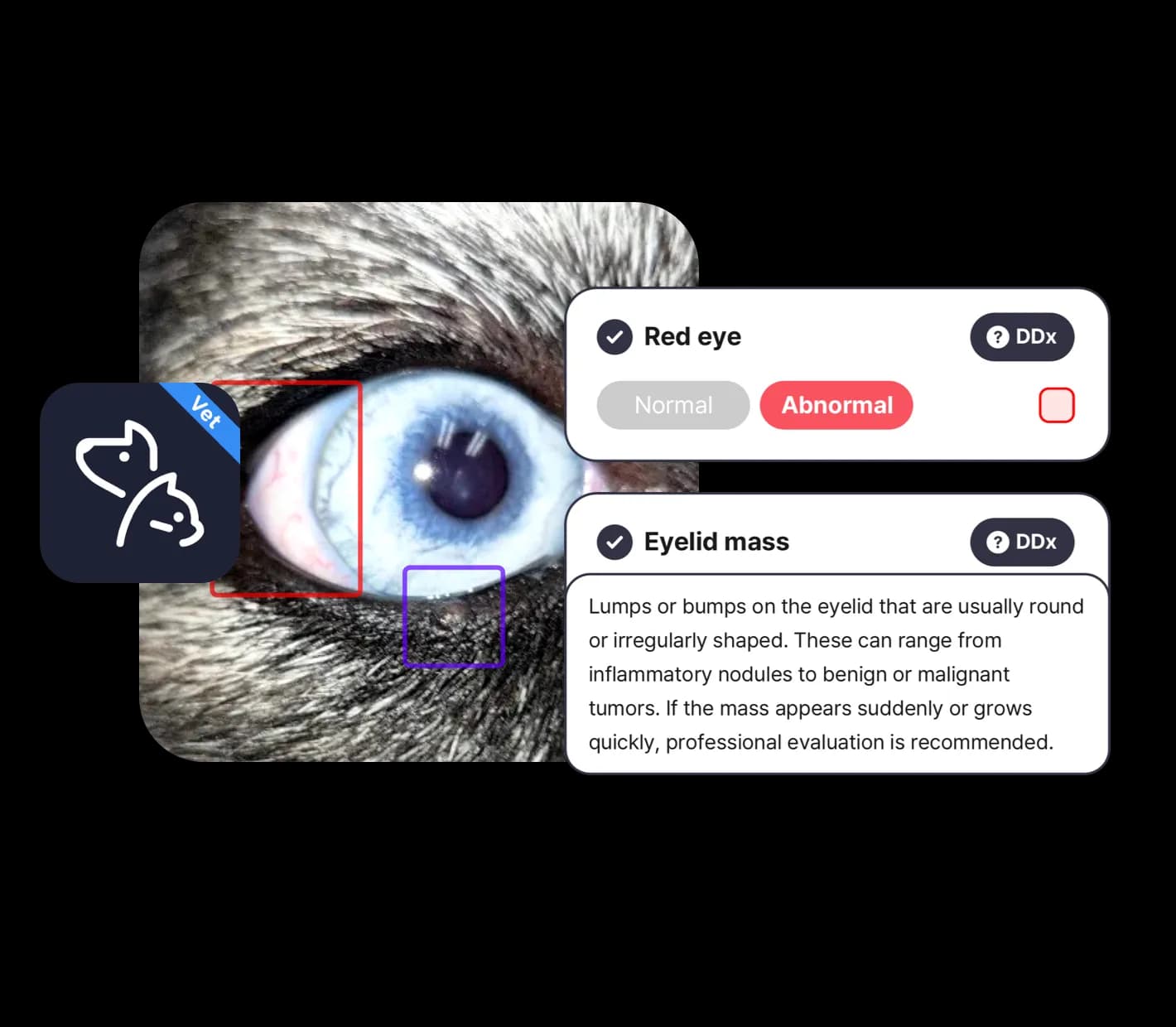 AI-Powered Pet Health Analysis Technology
