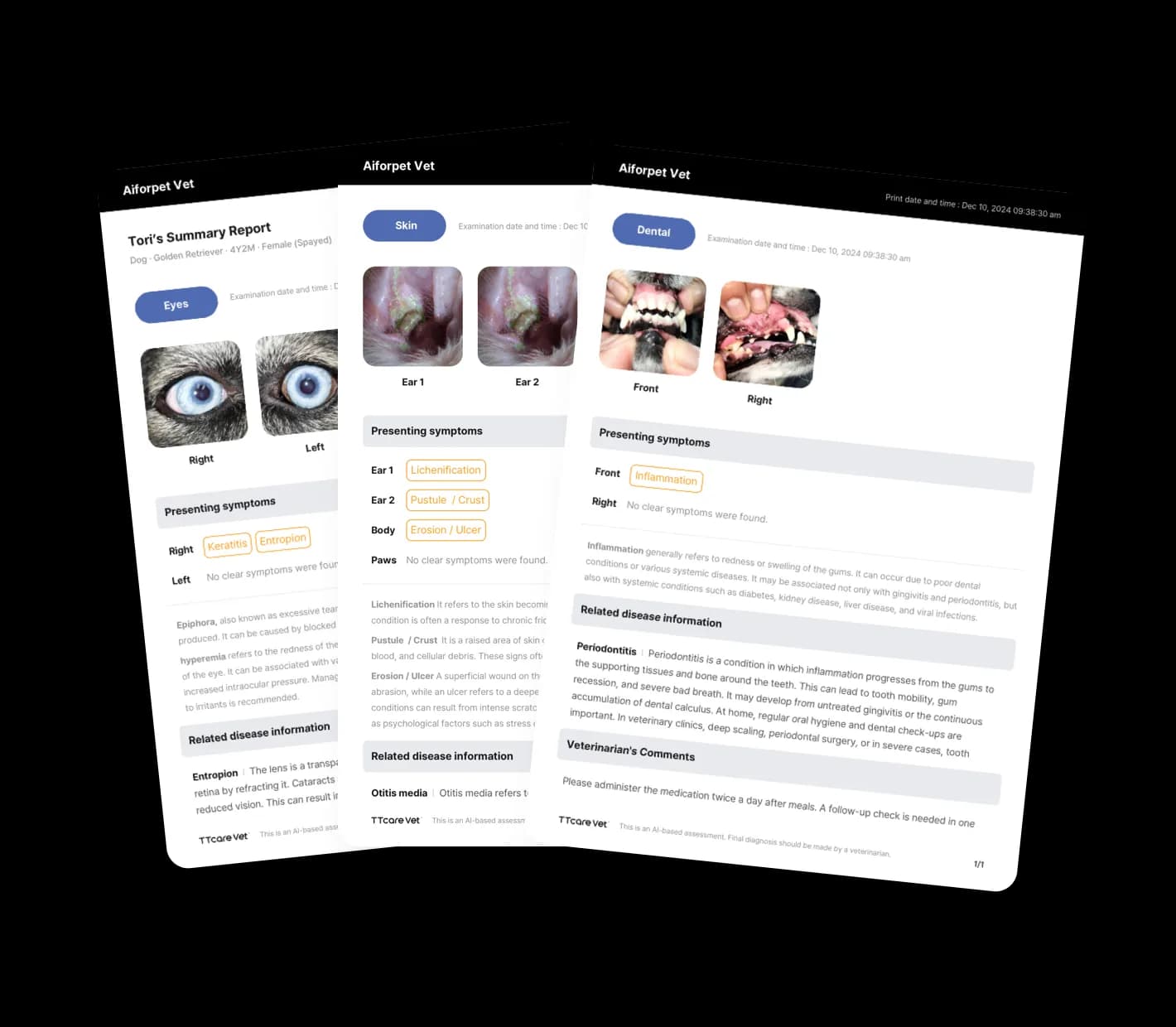 Automated reports, easily generated.